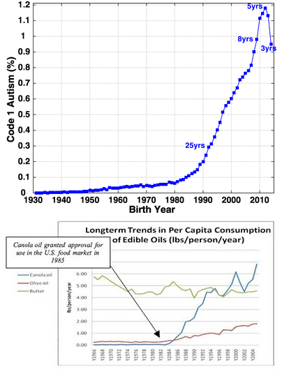 Autism Cause THEORY: Is the Increase in Autism from SEED Oils?