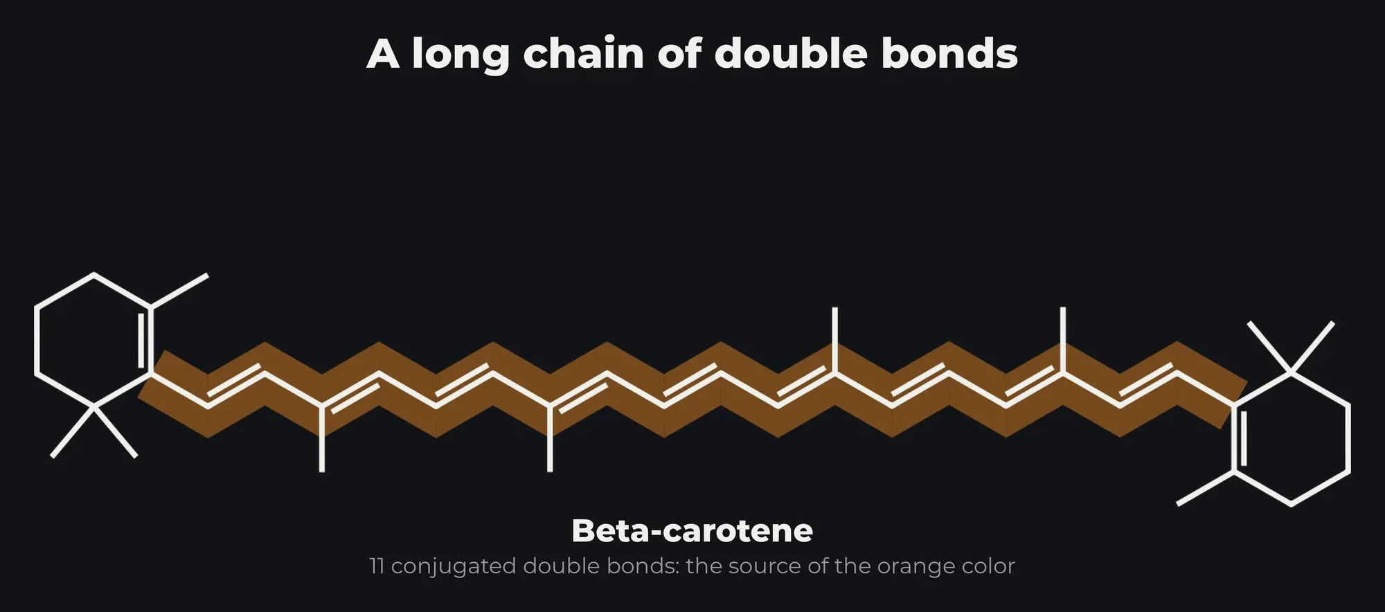 Beta-carotene structure with its chain of 11 conjugated double bonds highlighted in orange