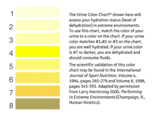 Armstrong Urine Color Chart