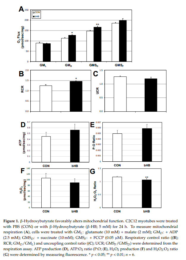 BHB Improves Muscle Health