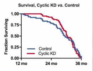 Cyclic Ketogenic Diet Survival Curve