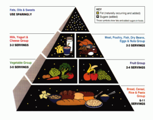 Food Pyramid Scam