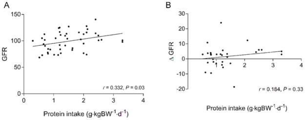 High Protein Diet Renal Function