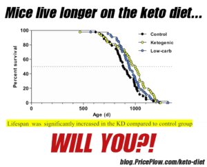 Keto Diet Longevity