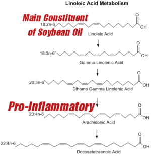 Soybean Oil Inflammation